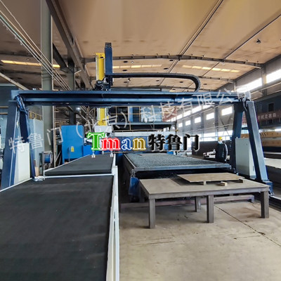 Laser Cutting L/U Gantry Robot