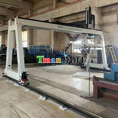 Gantry Automatic Sorting Robot