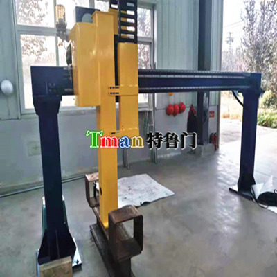 Wafer Tray Loading Gantry Robot
