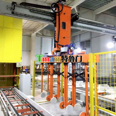 2-Axis Line Transfer Gantry Robot