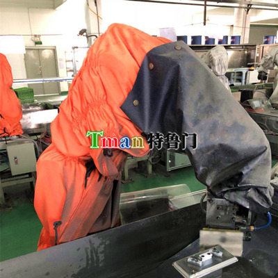 ABB irb6700 Cleaning Robot Cover